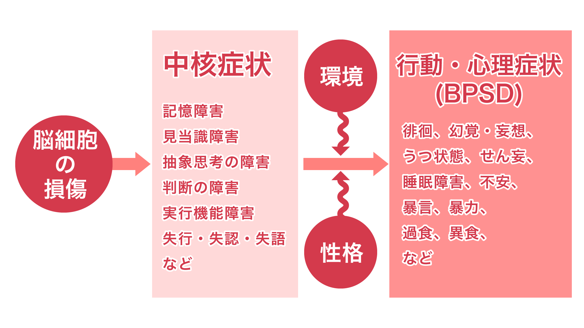 脳細胞の損傷から中核症状が生じ、環境と性格が作用して行動・心理症状(BPSD)に至る図