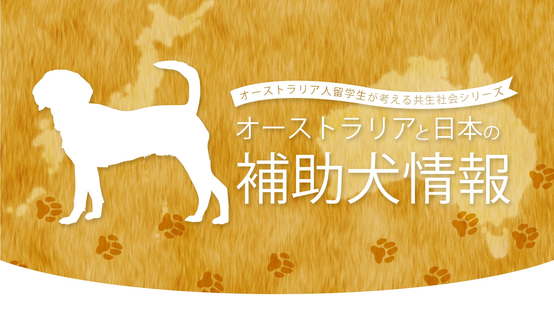 コニーは何しに日本へ オーストラリアと日本の補助犬情報 公益財団