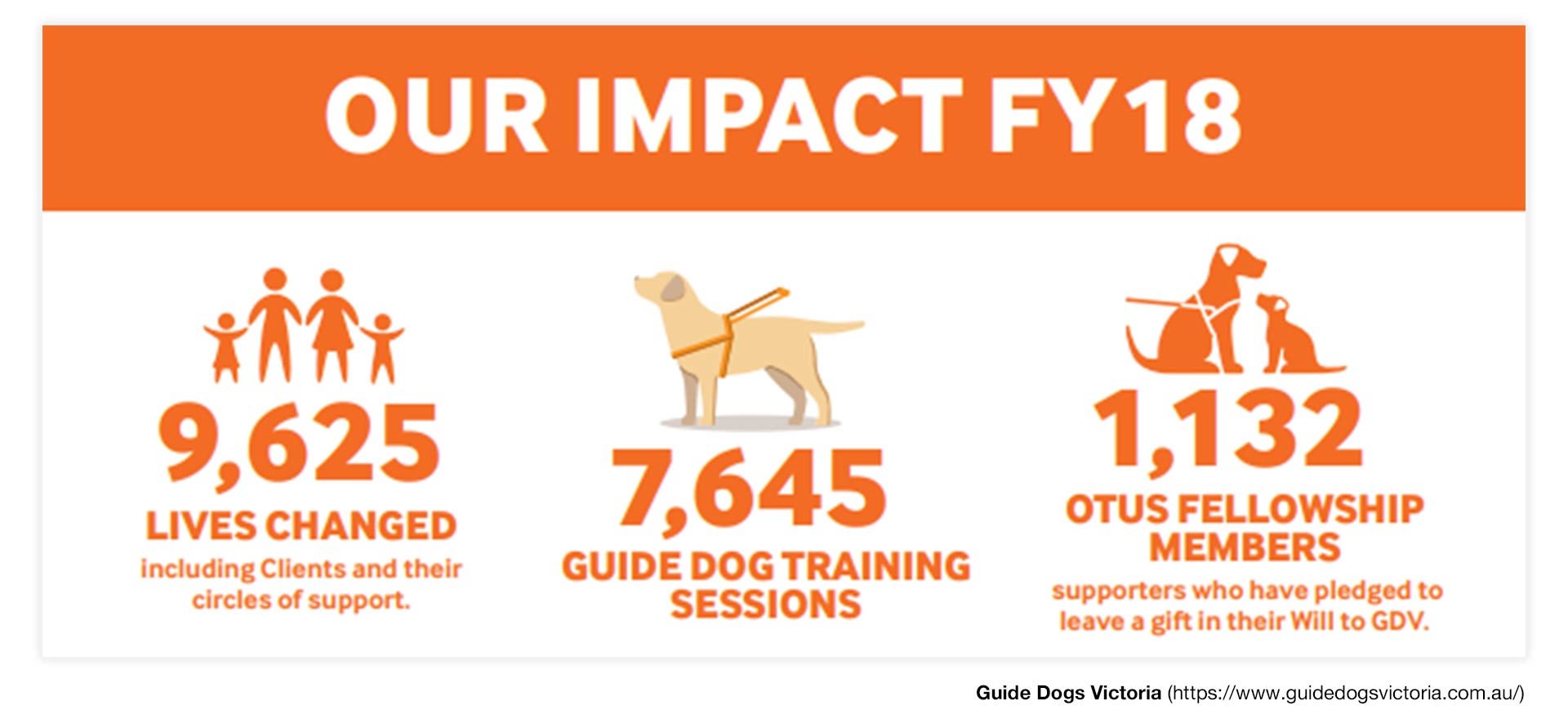 7,645 Guide Dogs Training Session