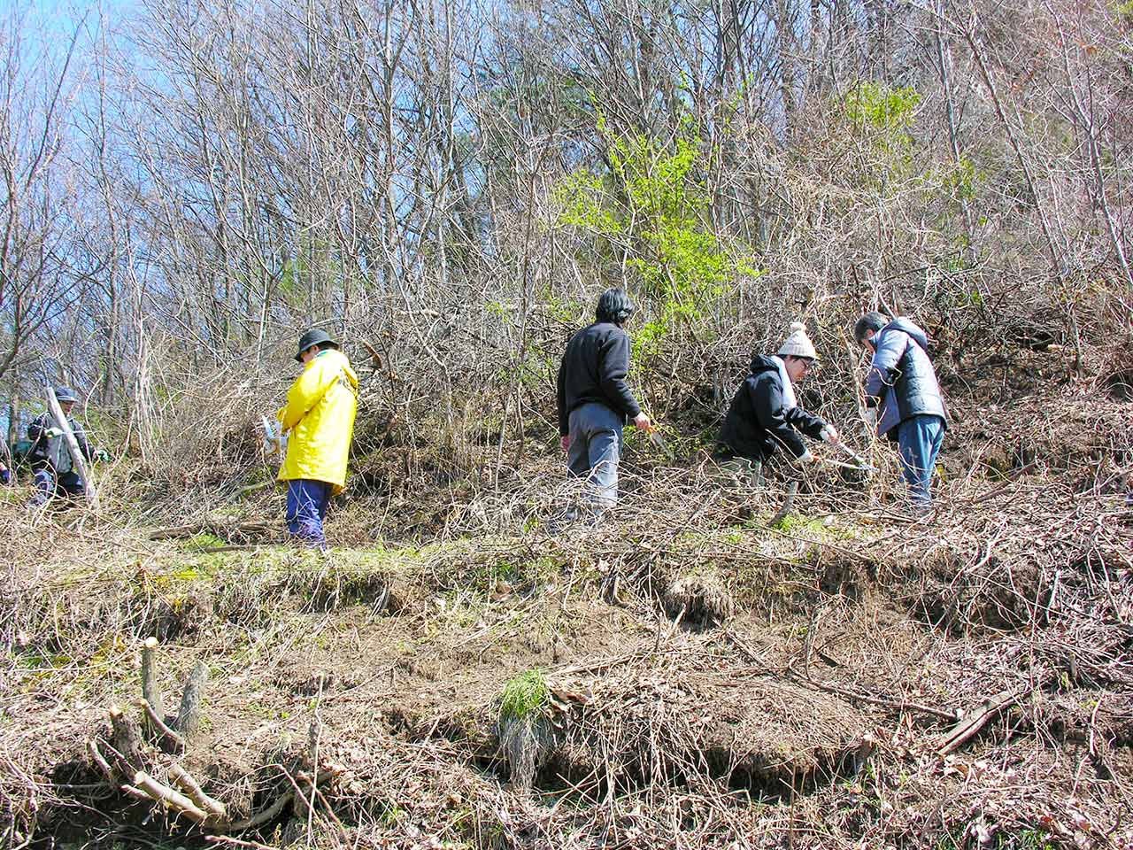 荒廃した農地を開墾し、ブドウ棚へと再生させました